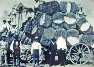 Cotton Wagon loaded with cotton bales; Courthouse in the background
